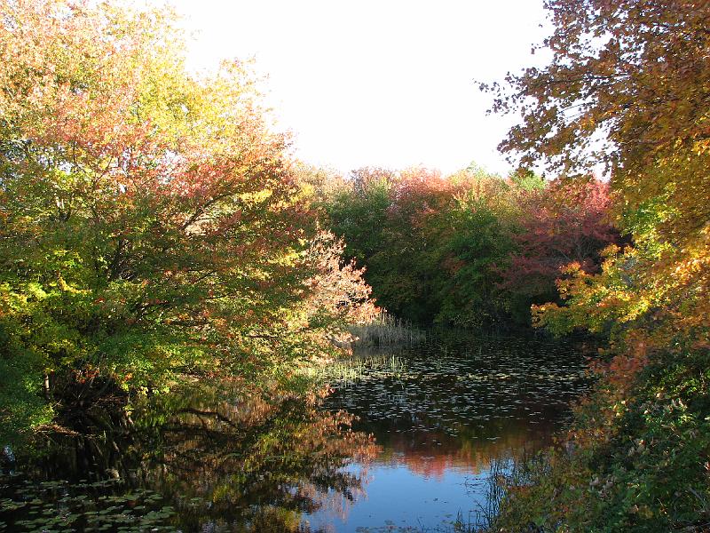 2008-10-11_Tiverton_Trustom 110.jpg